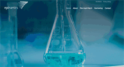 Desktop Screenshot of epinamics.com